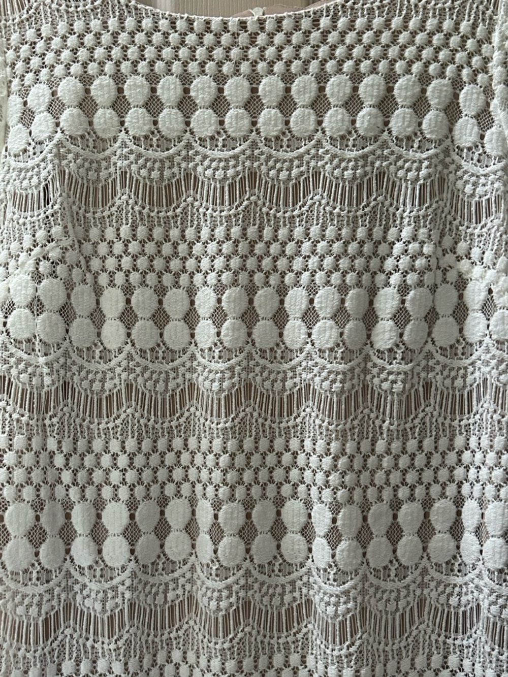 NWT Ronni Nicole Ivory Nude Crochet Lace Shift Dress 3/4 Sleeve Party Size 12 - Picture 5 of 14